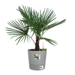 greensense aqua care round 35cm light concrete